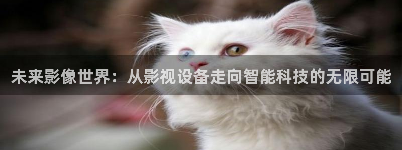 桔子影院在线播放